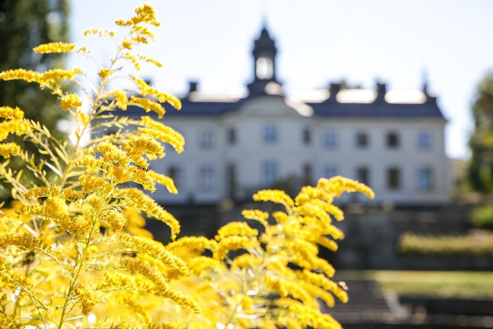 Bed and Breakfast Kaggeholms Slott Экерё Экстерьер фото